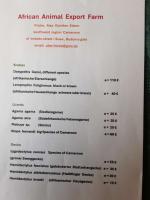Bild 5/6