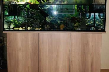 Aquarien kaufen und verkaufen Foto: Großes Aquarium und Juwel Unterschrank zu verkaufen. 