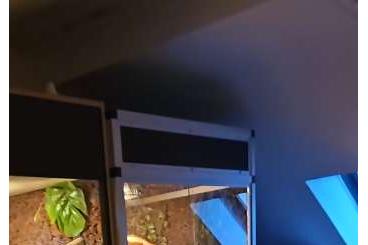 Enclosures kaufen und verkaufen Photo: Alu-Terrarien Turm + einzelnes Terrarium Enclosures kaufen und verkaufen Photo: Alu-Terrarien Turm + einzelnes Terrarium
