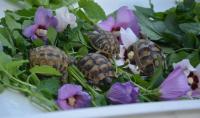 Bild 5/9