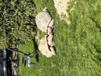 Bild 5/5