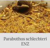 Bild 3/6