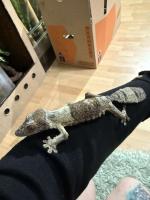 Bild 7/7