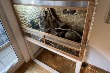 Enclosures kaufen und verkaufen Photo: Terrarium mit 120 x 80 x 60 cm 