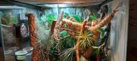 Bild 7/9