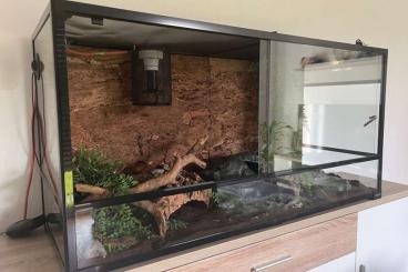 Enclosures kaufen und verkaufen Photo: Glas-Terrarium 120x45x60 mit viel Zubehör