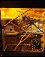 Bild 6/6