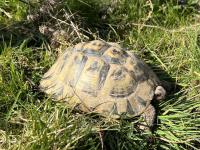 Bild 4/7
