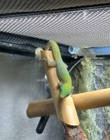 Bild 7/10
