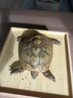 Bild 6/7