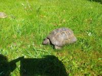 Bild 5/6