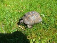 Bild 2/6