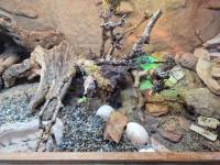 Bild 12/14