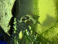 Bild 7/8