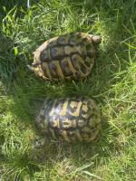 Bild 3/5
