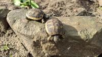 Bild 7/8