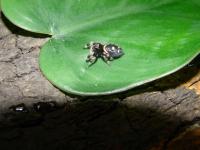 Bild 30/32