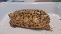 Bild 7/8