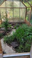 Bild 8/9