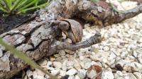 Bild 9/9
