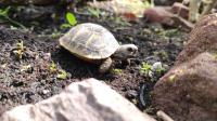 Bild 8/9