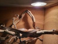 Bild 6/9