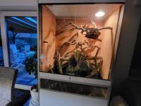 Bild 9/9