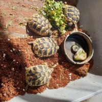 Bild 8/9