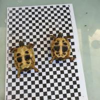 Bild 9/9