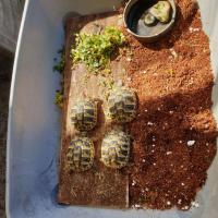 Bild 7/9