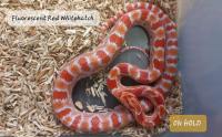 Bild 8/8