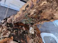 Bild 8/9