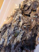 Bild 9/9