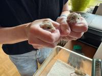 Bild 4/8