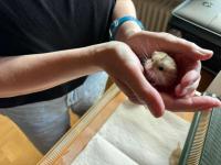 Bild 5/8