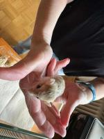 Bild 7/8