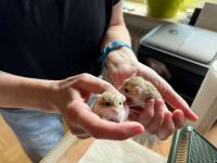 Bild 8/8