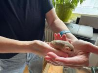 Bild 6/8