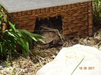 Bild 4/6