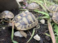 Bild 7/9