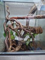 Bild 7/8