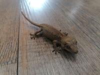 Bild 3/6