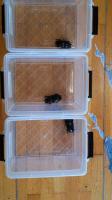 Bild 4/5