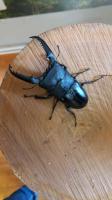 Bild 5/5