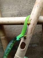 Bild 6/6