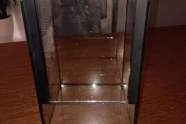 Enclosures kaufen und verkaufen Photo: Terrarium 15x15x25 zur Abgabe 