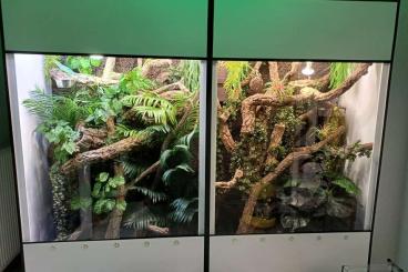 Enclosures kaufen und verkaufen Photo: -20% auf Premium Kunststoff Terrarien und Terrarium Racks