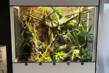 Enclosures kaufen und verkaufen Photo: -20% auf Premium Kunststoff Terrarien und Terrarium Racks