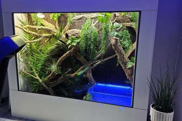 Enclosures kaufen und verkaufen Photo: -20% auf Premium Kunststoff Terrarien und Terrarium Racks Enclosures kaufen und verkaufen Photo: -20% auf Premium Kunststoff Terrarien und Terrarium Racks