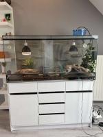 Bild 11/11